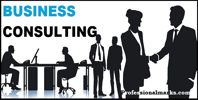 Job Description for Professional Consulting and Business Service Providers