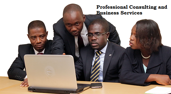 Job Description for Professional Consulting and Business Service Providers