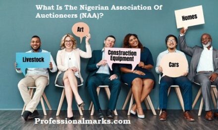 What Is The Nigerian Association Of Auctioneers (NAA)?