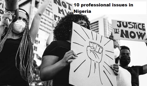 10 professional issues in Nigeria