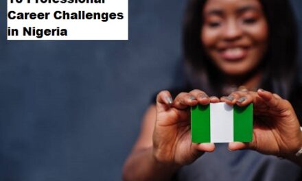 10 Professional Career Challenges in Nigeria