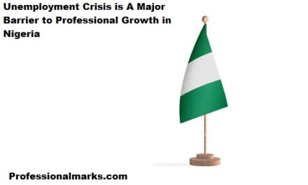Unemployment Crisis is A Major Barrier to Professional Growth in Nigeria