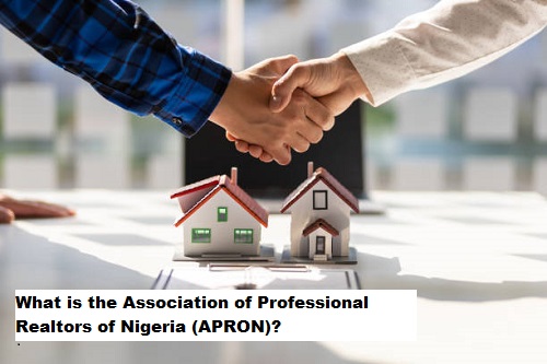 What is the Association of Professional Realtors of Nigeria (APRON)?