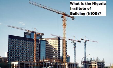 What is the Nigeria Institute of Building (NIOB)?