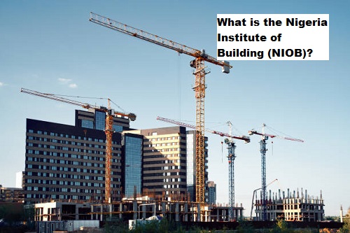 What is the Nigeria Institute of Building (NIOB)?