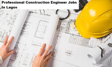Professional Construction Engineer Jobs In Lagos