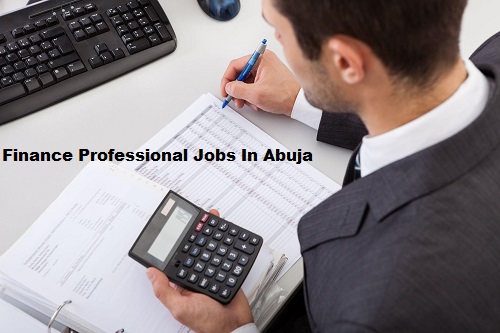 Finance Professional Jobs In Abuja