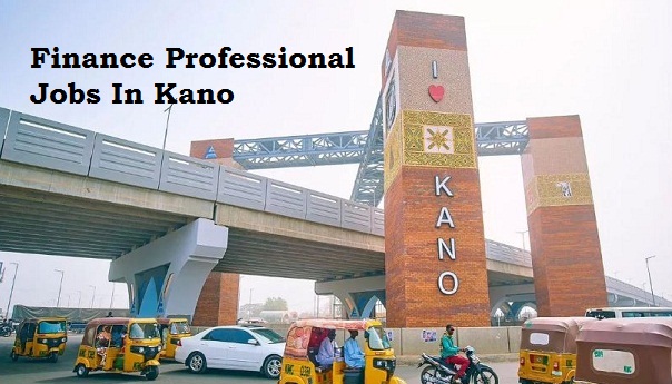 Finance Professional Jobs In Kano