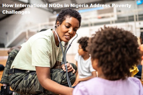 How International NGOs in Nigeria Address Poverty Challenges