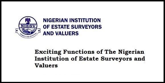 Exciting Functions of The Nigerian Institution of Estate Surveyors and Valuers