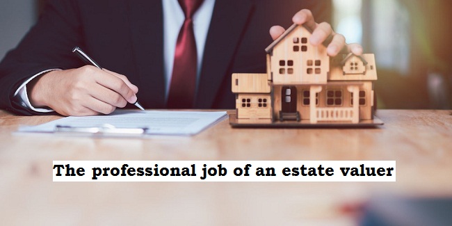 What is the professional job of an estate valuer?