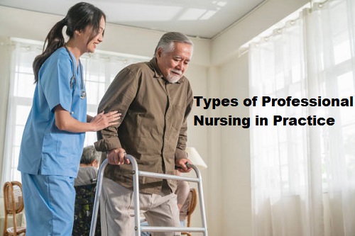 Types of Professional Nursing in Practice