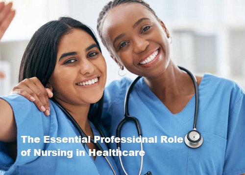 The Essential Professional Role of Nursing in Healthcare