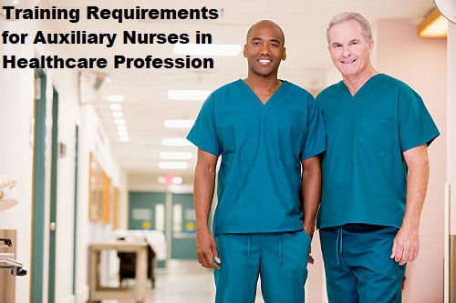 Training Requirements for Auxiliary Nurses in Healthcare Profession