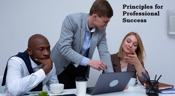 Principles for Professional Success in 2024/2025