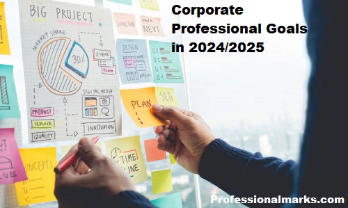 Corporate Professional Goals in 2024/2025