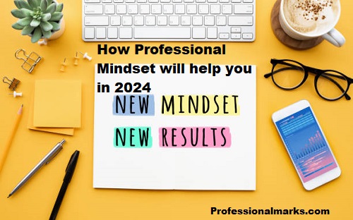 How Professional Mindset will help you in 2024
